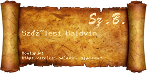 Szélesi Baldvin névjegykártya